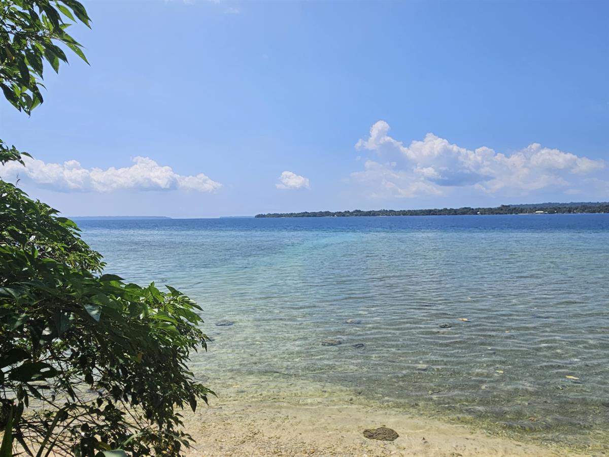 4 Waterfront Titles Available Now!, photo 2 of 6