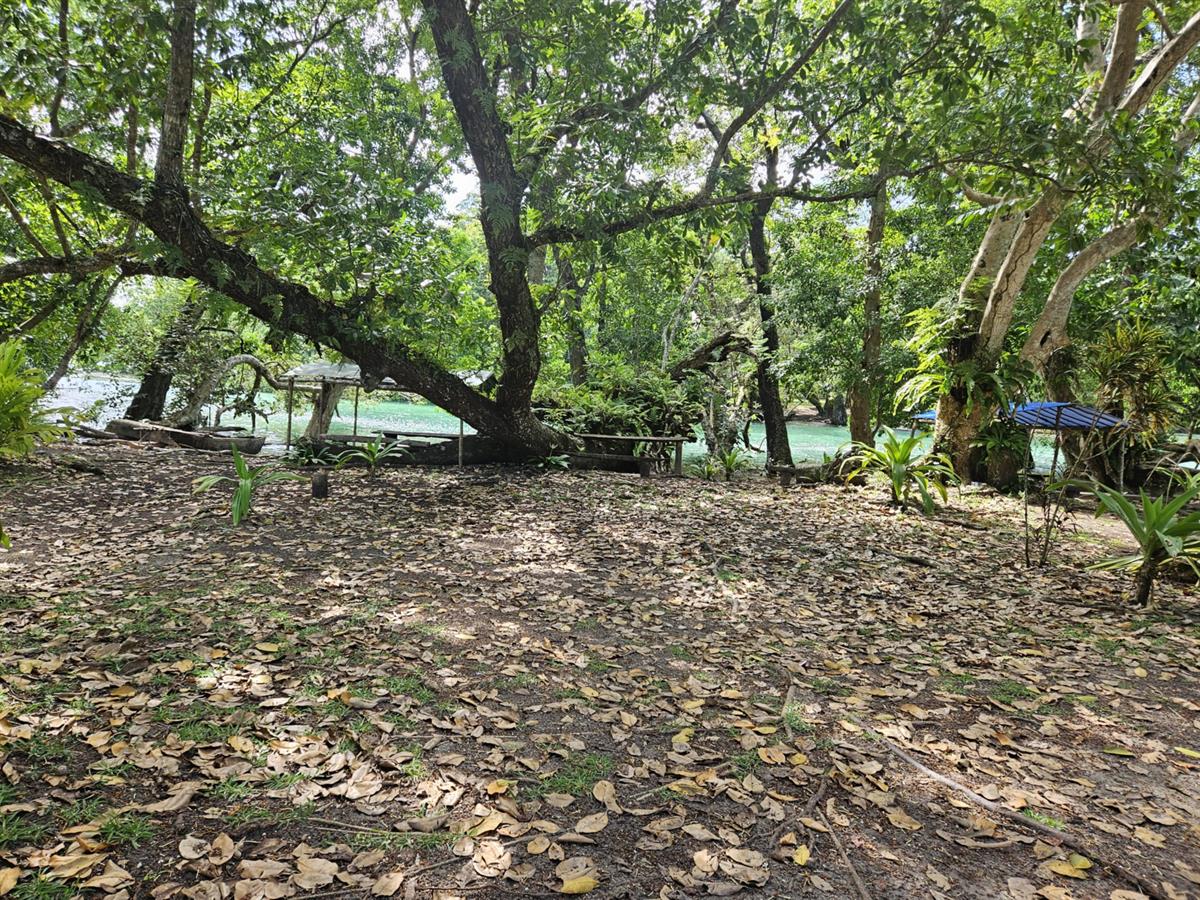 Your Waterfront Paradise Awaits – Matevulu Lots!, photo 2 of 9