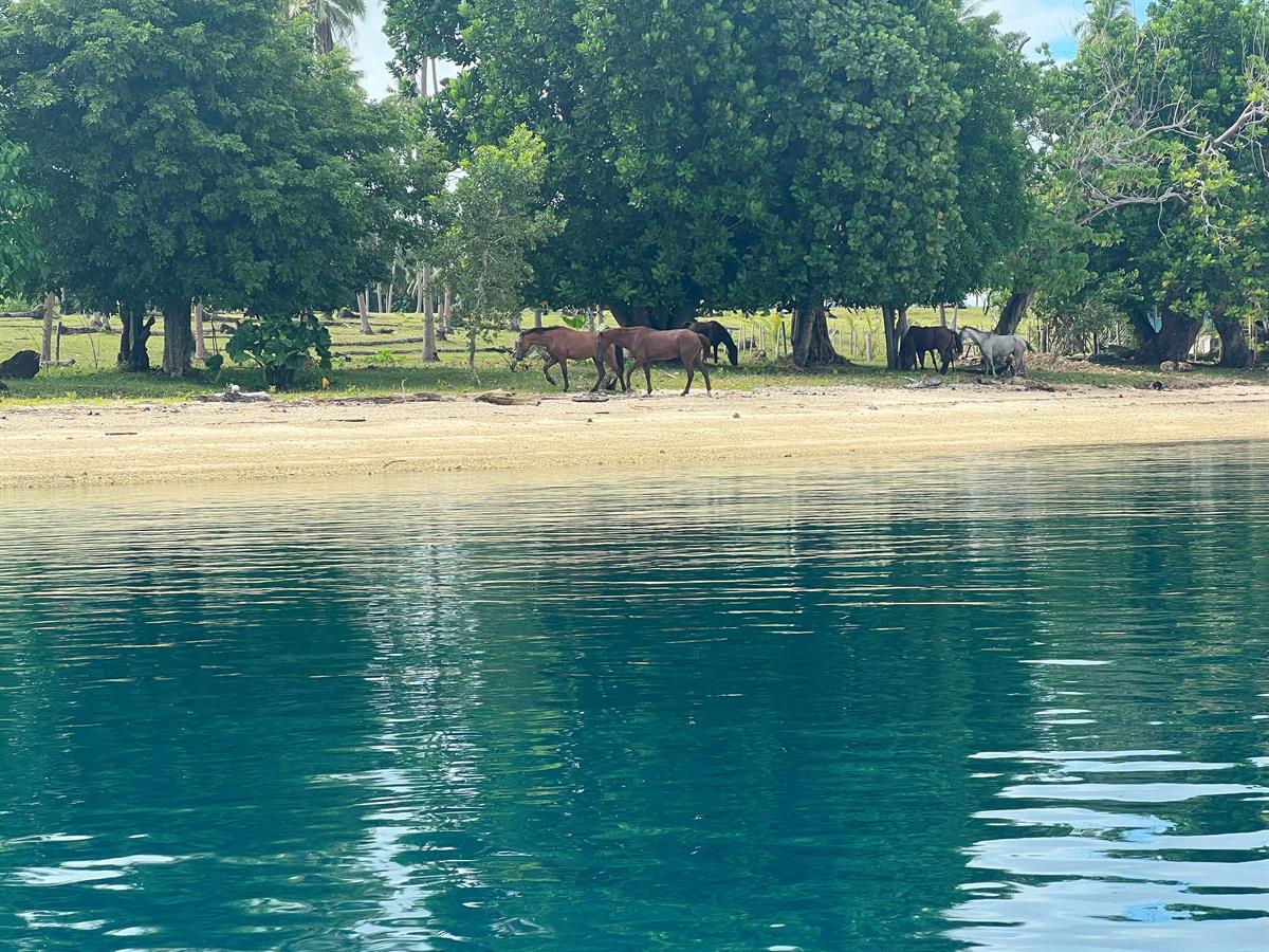 Lot 4 Lapita Beach!, photo 2 of 2