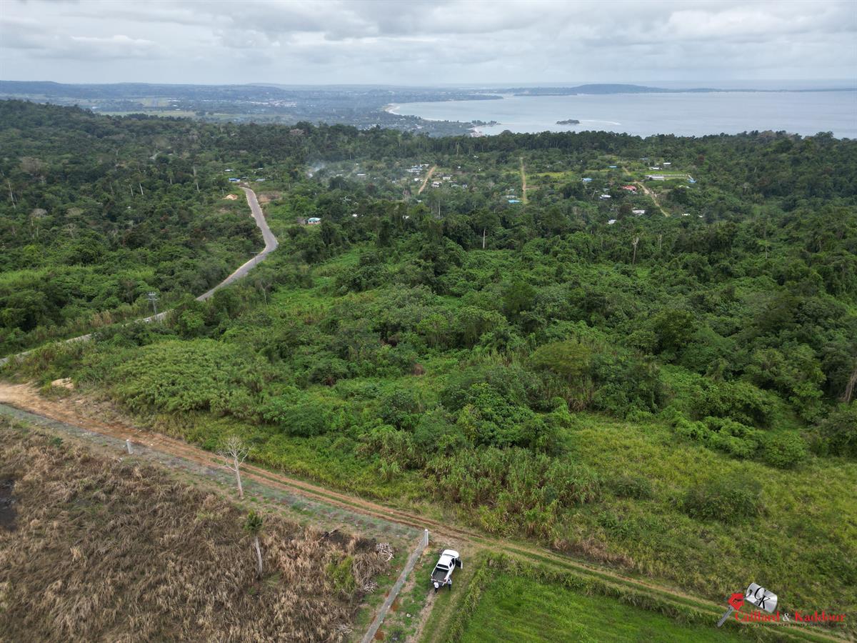Prime commercial land with main road frontage, photo 2 of 4