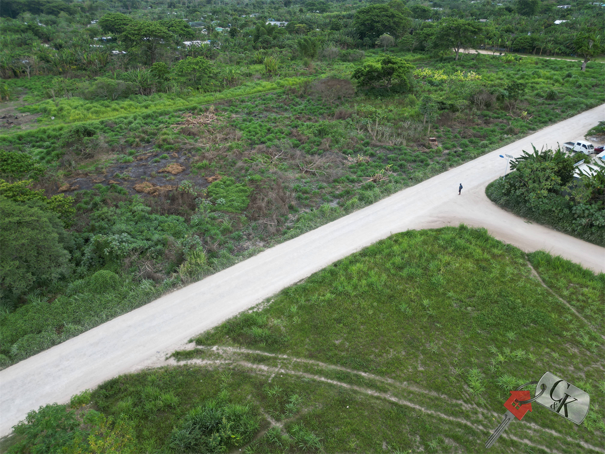 ONLY 4 PLOTS LEFT- Commercial Plots, Bladinieres Estate, photo 2 of 4