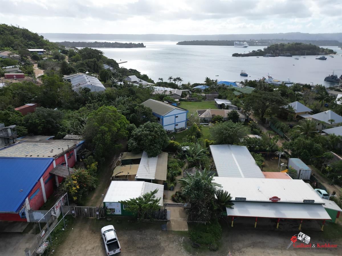 COMMERCIAL PROPERTY WITH HIGH INVESTMENT POTENTIAL – NAMBATRI, photo 2 of 14